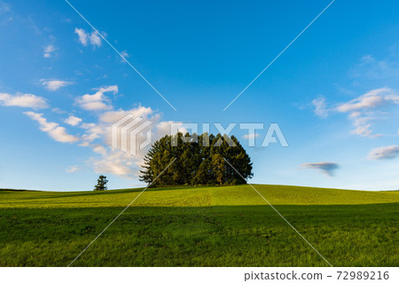 Another Mild Seven Hills landscape 72989216