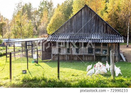 Outbuildings in the farmyard is fenced with a metal mesh Outbuildings in the farmyard is fenced with a metal mesh 72990233