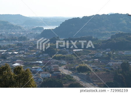 從土佐町看的濱松城山公園 從土佐町看的濱松城山公園 72990239