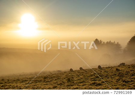 Beautiful field in the fog in County Donegal - Ireland 72991169