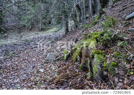 Autumn natural scene, Big Fatra mountains, Slovakia 72991905