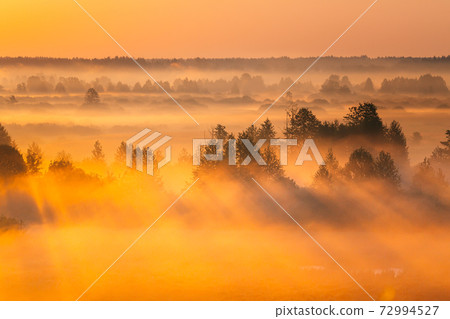 Amazing Sunrise Light Above Misty Landscape. Scenic View Of Foggy Morning In Misty Forest Park Woods. Summer Nature Of Eastern Europe. Sunset Dramatic Sunray Light Sunbeam Amazing Sunrise Light Above Misty Landscape. Scenic View Of Foggy Morning In Misty Forest Park Woods. Summer Nature Of Eastern Europe. Sunset Dramatic Sunray Light Sunbeam 72994527