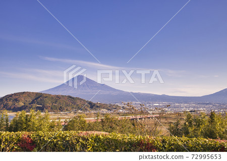 從富士河SA深秋1看富士山 72995653