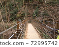 Suspension bridge 72995742