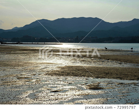 Hiroshima Miyajima, two separated. 72995797