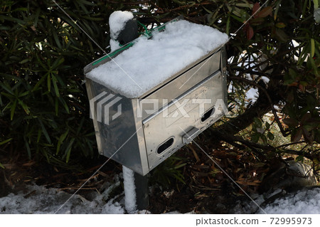 First snow winter scenery 72995973