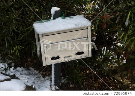 第一場雪冬風光 第一場雪冬風光 72995974