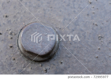 Bolt Bolt 72995977