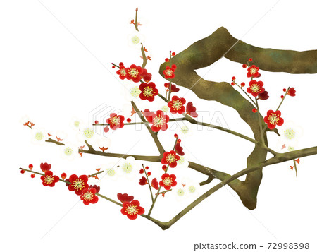 Red Plum Blossom-There are multiple variations 72998398