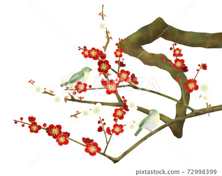 紅梅花和mejiro-有多種變化 紅梅花和mejiro-有多種變化 72998399