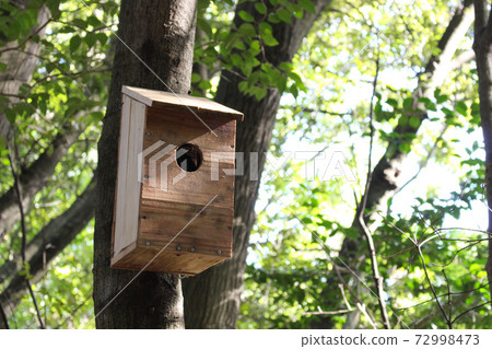 Birdhouse on the promenade 72998473