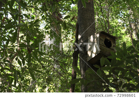 Birdhouse on the promenade 72998601