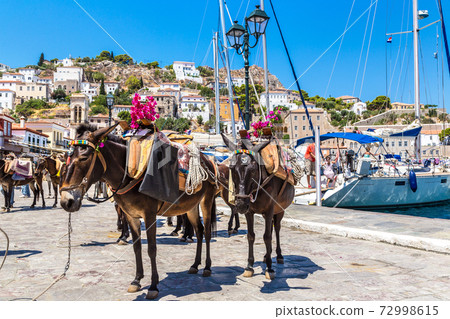 Hydra island  in Greece 72998615