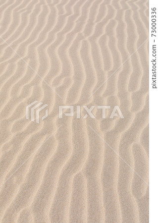 Wind crests appearing in the dunes 73000336