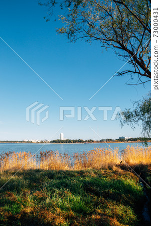 Gyeongpoho Lake in Gangneung, Korea 73000431