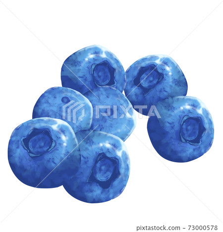 Blueberry fruit Blueberry fruit 73000578