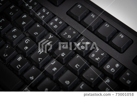 Keyboard dust 73001058