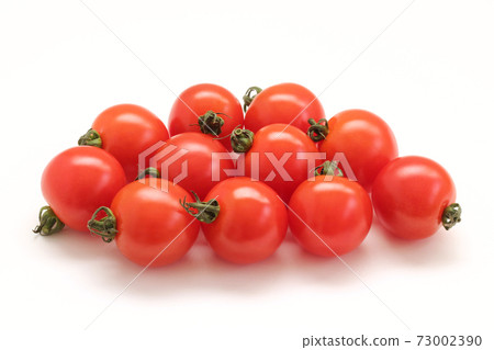  Mini Tomato 73002390