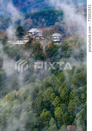 Bichu松山城霧 Bichu松山城霧 73002831