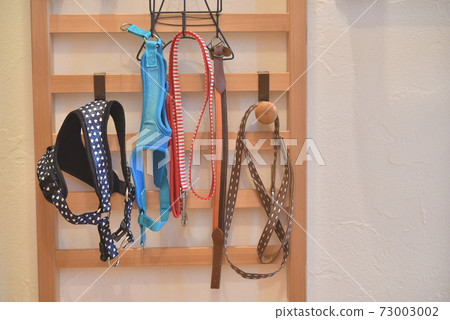 For a dog walk 73003002