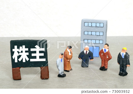 Shareholder 73003932