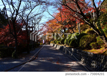 福井：善榮寺的秋葉 73004201