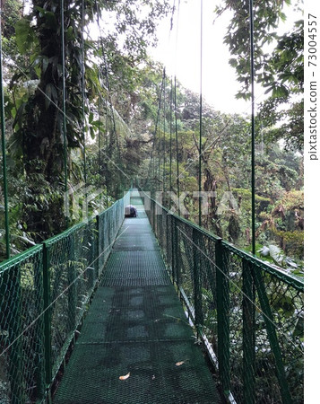 Suspension bridge tour in Costa Rica Monteverde Nature Reserve Suspension bridge tour in Costa Rica Monteverde Nature Reserve 73004557