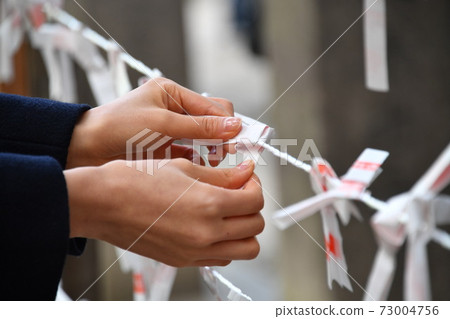 希望 希望 73004756