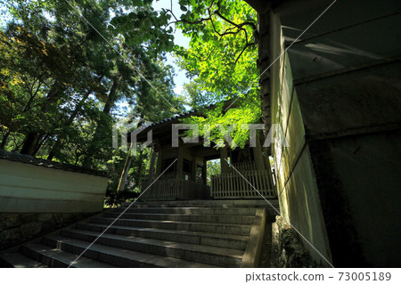 濱松龍潭寺 濱松龍潭寺 73005189