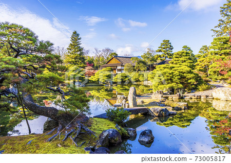 映照著秋葉的日本庭園(京都桂浦裡久) 映照著秋葉的日本庭園(京都桂浦裡久) 73005817