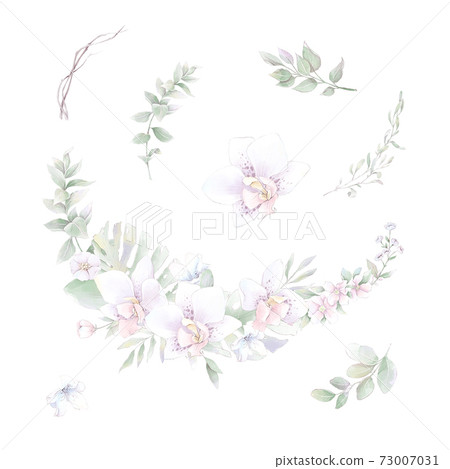 Set of watercolor Flowers orchids, watercolor illustration Set of watercolor Flowers orchids, watercolor illustration 73007031
