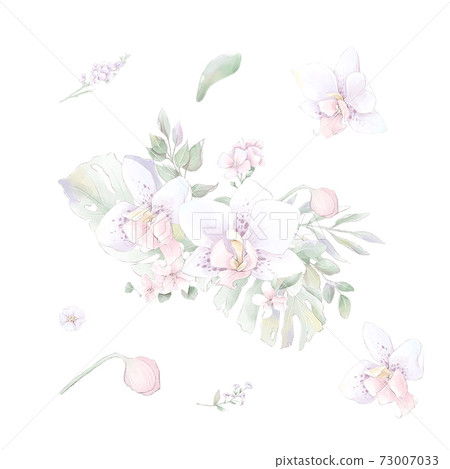 Set of watercolor Flowers orchids, watercolor illustration Set of watercolor Flowers orchids, watercolor illustration 73007033