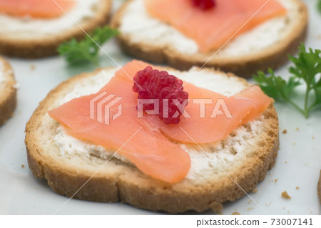 Closeup of appetizers toast with salmon and cheese in a white plate Closeup of appetizers toast with salmon and cheese in a white plate 73007141