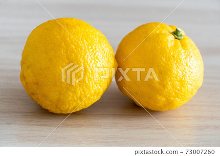 Citron  73007260