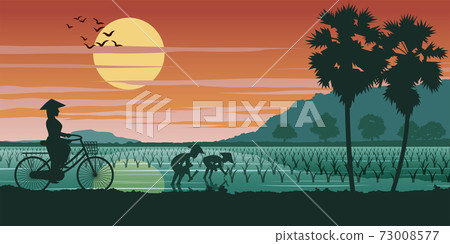 Vietnamese woman ride bicycle pass rice field while people planting on sunset time Vietnamese woman ride bicycle pass rice field while people planting on sunset time 73008577