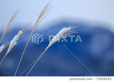 雪景冬天早晨山秋田縣 73008939