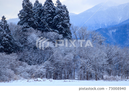 雪景冬天早晨山秋田縣 雪景冬天早晨山秋田縣 73008940
