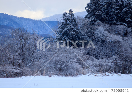 雪景冬天早晨山秋田縣 73008941