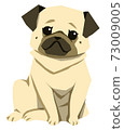 Pug (Fawn) Fawnpug 73009005