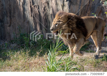 冠軍的性格 73009067