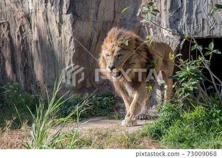 冠軍的性格 73009068