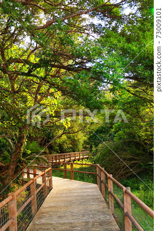 沖繩縣宜野座村松田市泉川水邊公園 沖繩縣宜野座村松田市泉川水邊公園 73009101