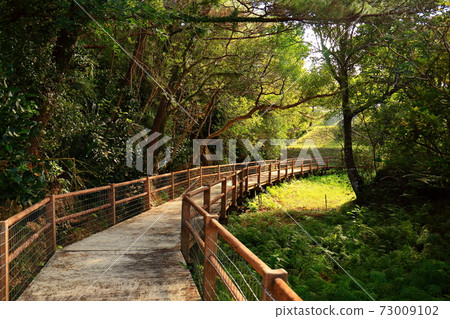 沖繩縣宜野座村松田市泉川水邊公園 沖繩縣宜野座村松田市泉川水邊公園 73009102