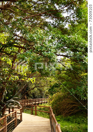 沖繩縣宜野座村松田市泉川水邊公園 沖繩縣宜野座村松田市泉川水邊公園 73009103