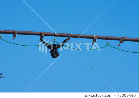 Stroll in the air 73009480