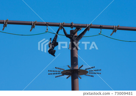 空中漫步 73009481