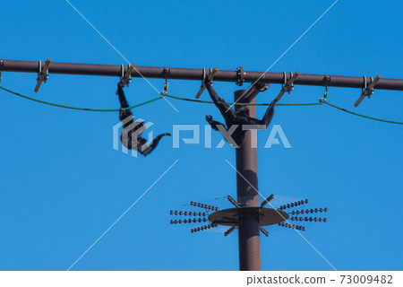 空中漫步 73009482