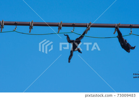 空中漫步 73009483