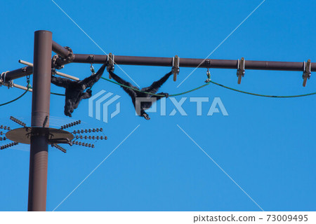 Stroll in the air Stroll in the air 73009495