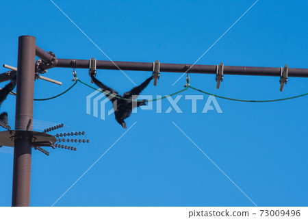 Stroll in the air 73009496